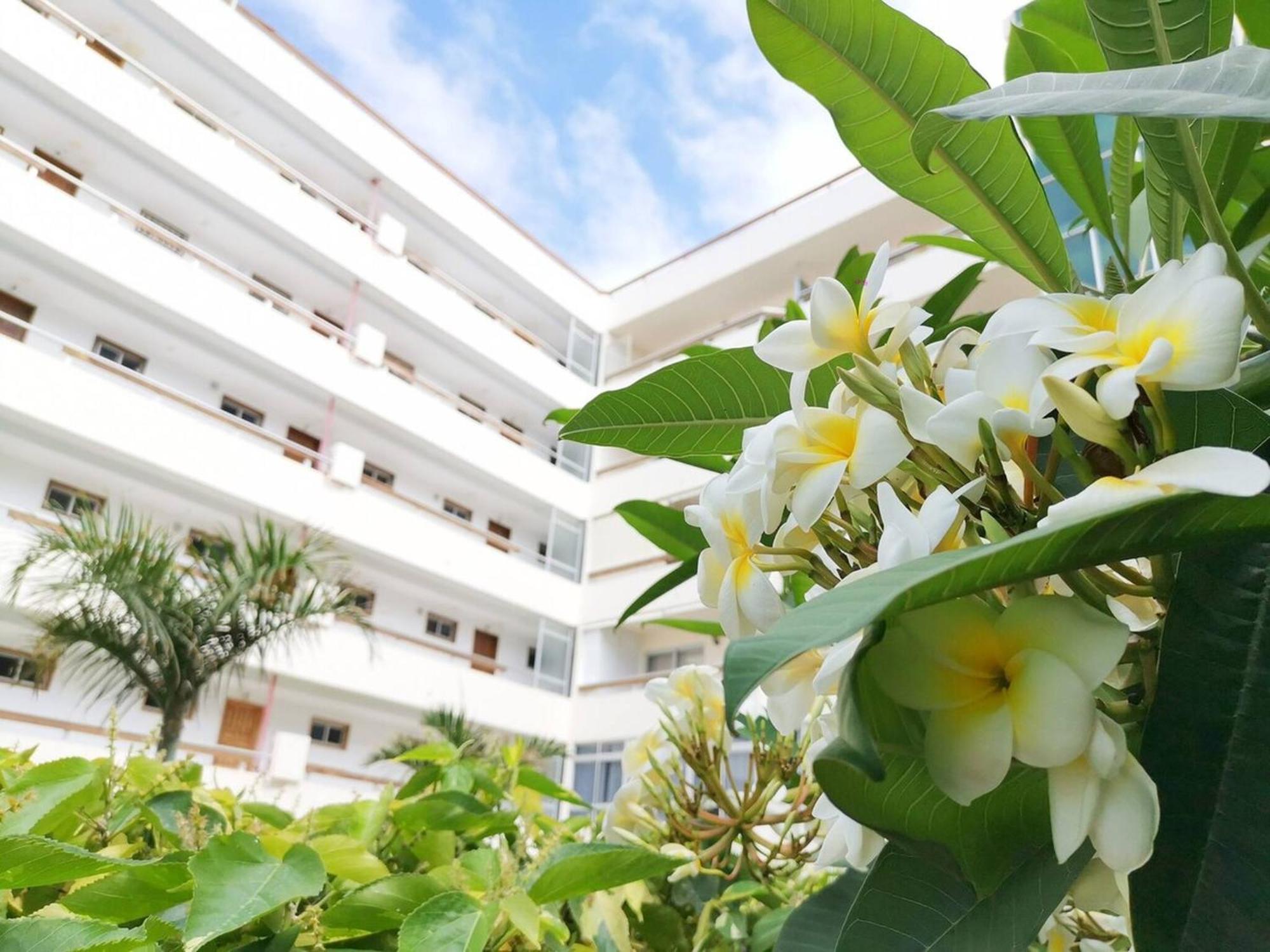 Las Camelias 215 By Pride Holiday Rentals 마스팔로마스 외부 사진